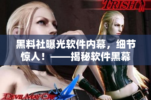 黑料社曝光軟件內幕，細節驚人！——揭秘軟件黑幕