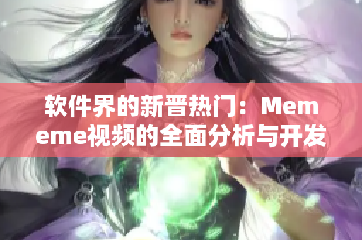 軟件界的新晉熱門：Mememe視頻的全面分析與開(kāi)發(fā)技術(shù)