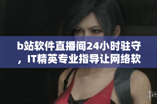 b站軟件直播間24小時駐守，IT精英專業指導讓網絡軟件更進一步！
