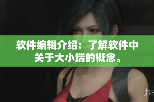 軟件編輯介紹：了解軟件中關于大小端的概念。