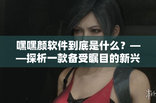 嘿嘿顏軟件到底是什么？——探析一款備受矚目的新興軟件