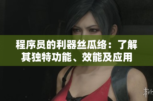 程序員的利器絲瓜絡：了解其獨特功能、效能及應用