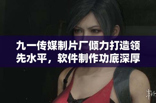 九一傳媒制片廠傾力打造領先水平，軟件制作功底深厚