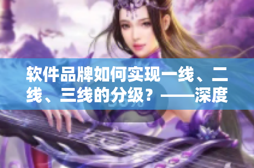 軟件品牌如何實(shí)現(xiàn)一線、二線、三線的分級?——深度解析 軟件品牌如何實(shí)現(xiàn)一線、二線、三線的分級?——深度解析