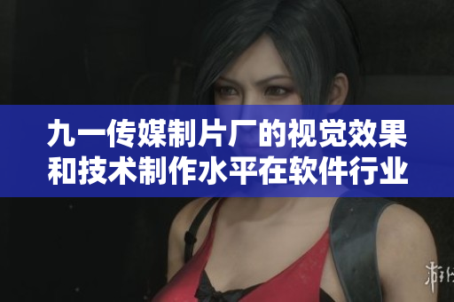 九一傳媒制片廠的視覺效果和技術制作水平在軟件行業中備受矚目