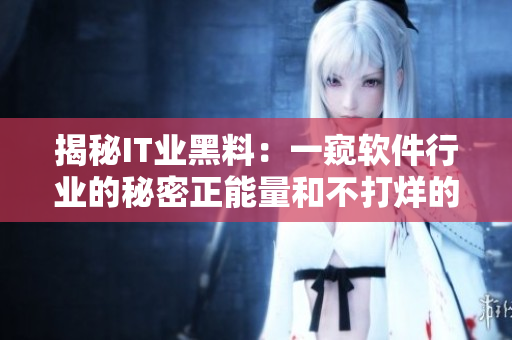 揭秘IT業黑料：一窺軟件行業的秘密正能量和不打烊的黑料
