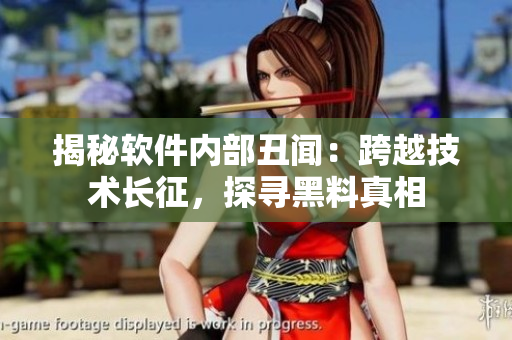 揭秘軟件內(nèi)部丑聞：跨越技術(shù)長征，探尋黑料真相