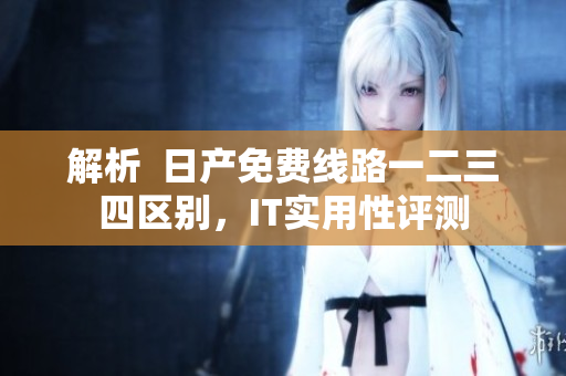 解析  日產免費線路一二三四區別，IT實用性評測