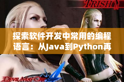探索軟件開發中常用的編程語言：從Java到Python再到Go語言