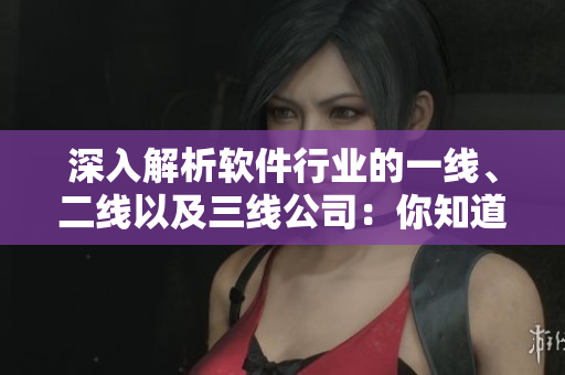 深入解析軟件行業(yè)的一線、二線以及三線公司：你知道它們之間的區(qū)別嗎？