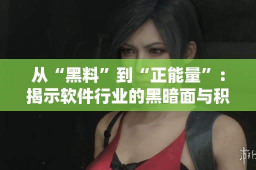 從“黑料”到“正能量”：揭示軟件行業的黑暗面與積極力量
